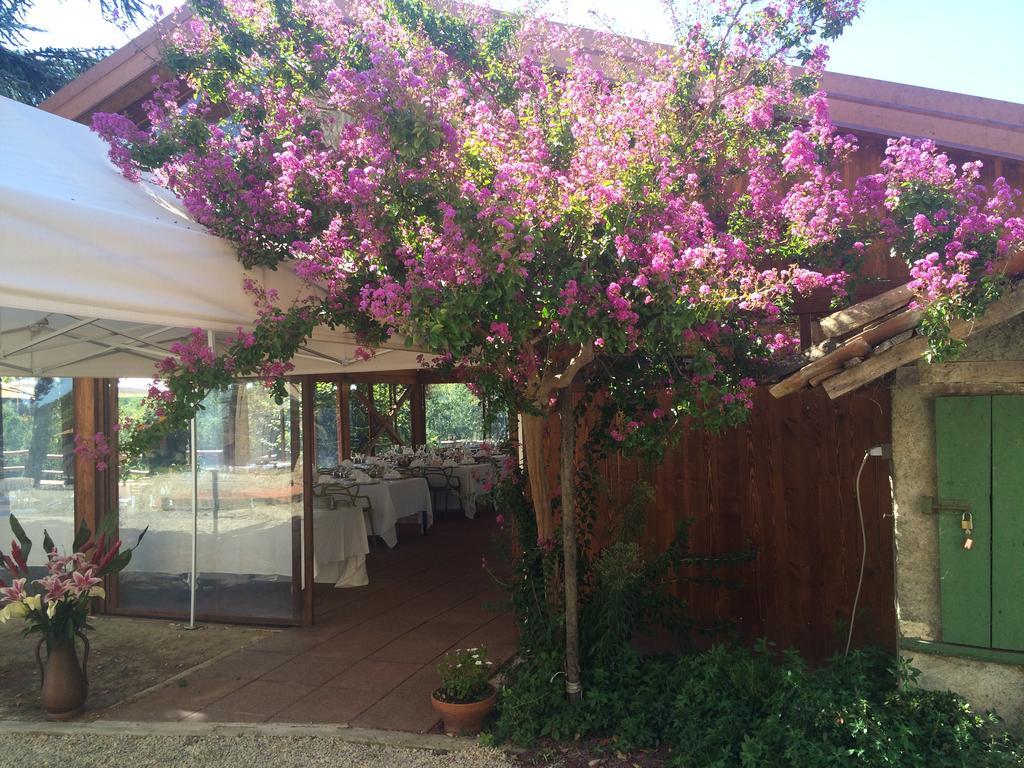 فيلا Carpenetoفي Agriturismo Ristorante Albachiara المظهر الخارجي الصورة
